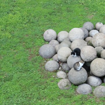 Boule de jardin