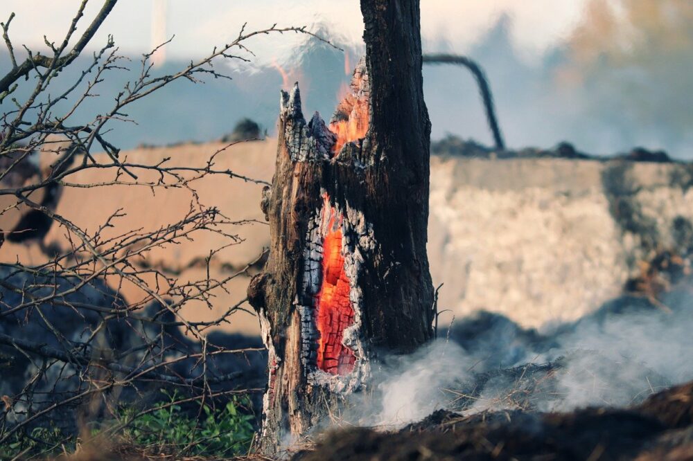 brûler une souche d'arbre