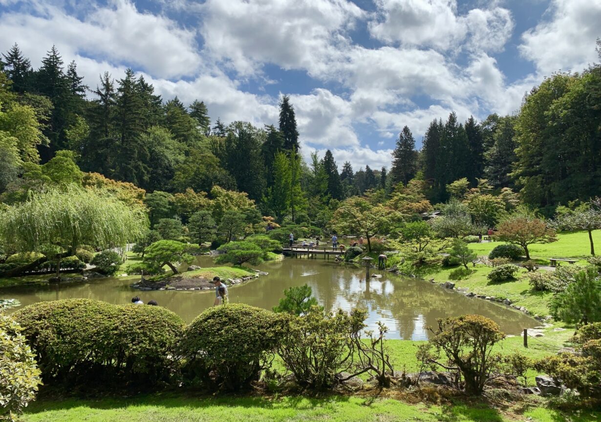 jardin botanique