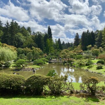 jardin botanique