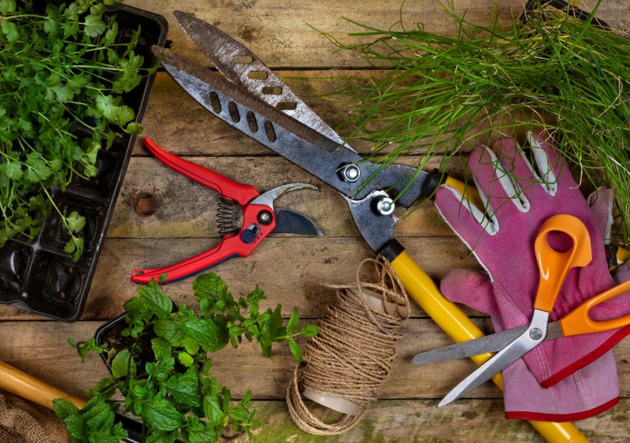 outils de jardinage