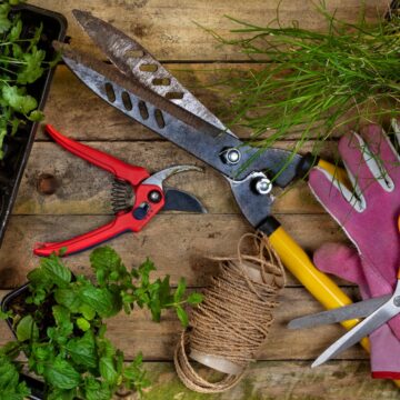 outils de jardinage