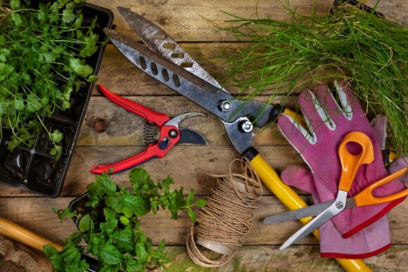 outils de jardinage