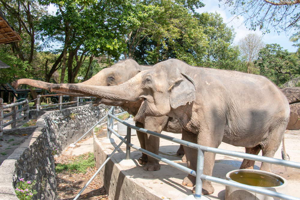 parc animalier Belgique