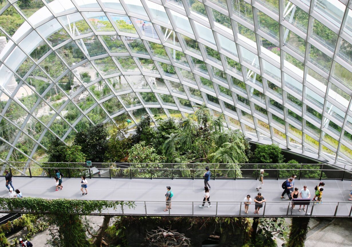parc d'orchidées Singapour