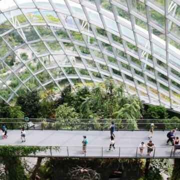 parc d'orchidées Singapour