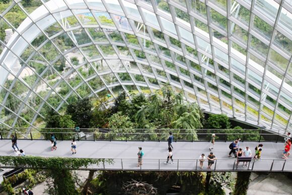 parc d'orchidées Singapour