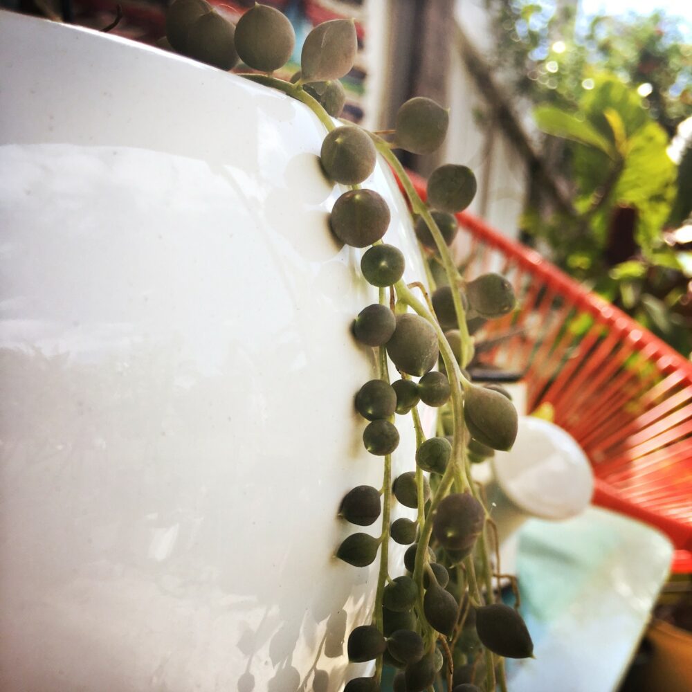 string of pearls